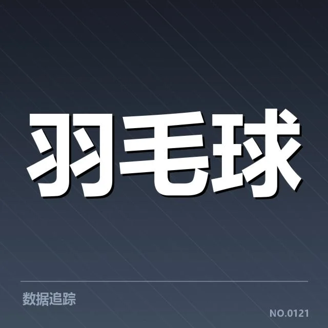 林丹脚踝伤情通报：复出时间与恢复情况疑问